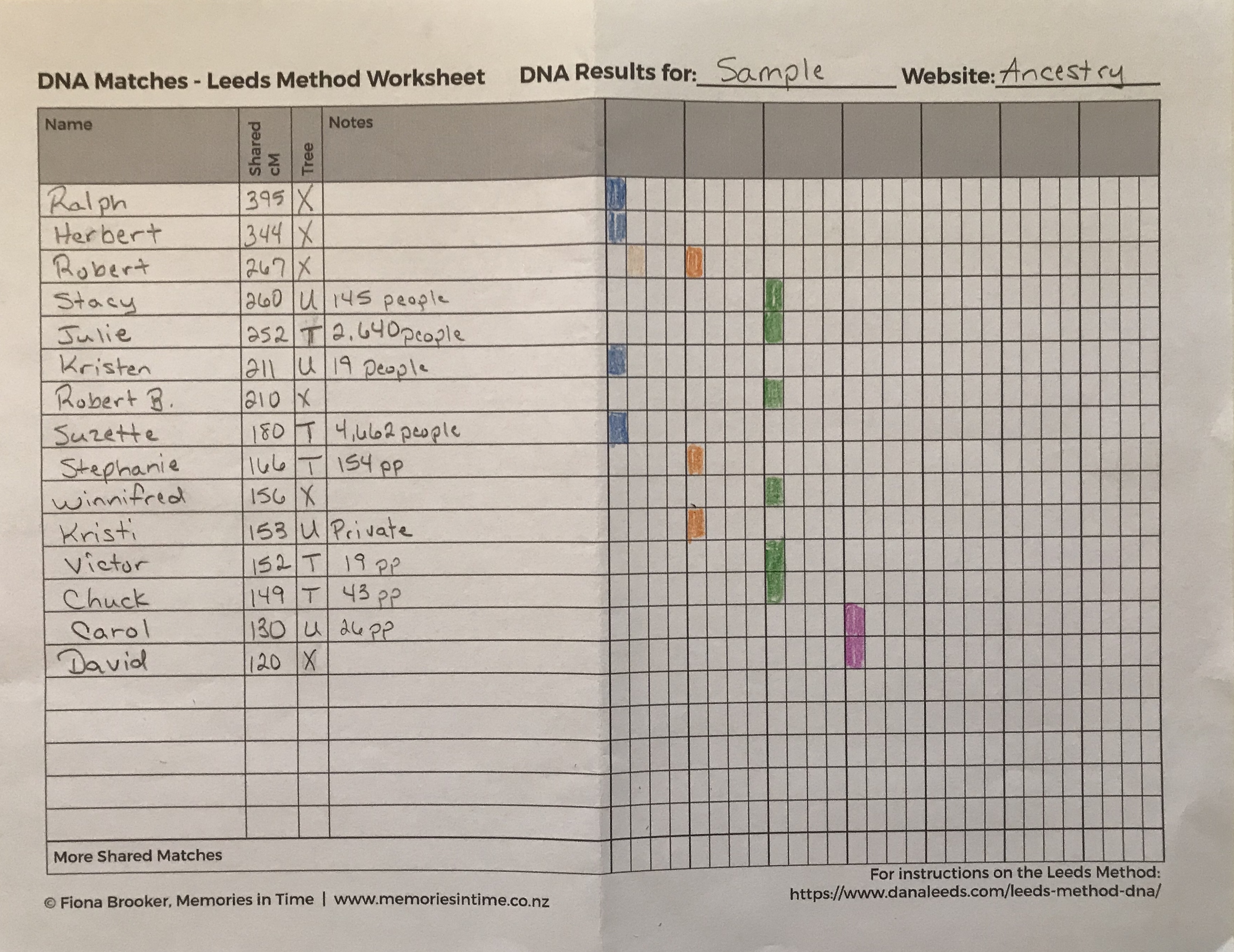 DanaLeeds.com - DNA Color Clustering (aka The Leeds Method)